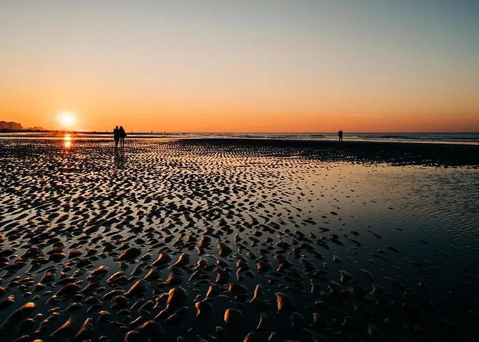 Guadeloupe 奥斯滕德
