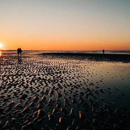 Guadeloupe אוסטנדה